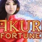 sakura_fortune